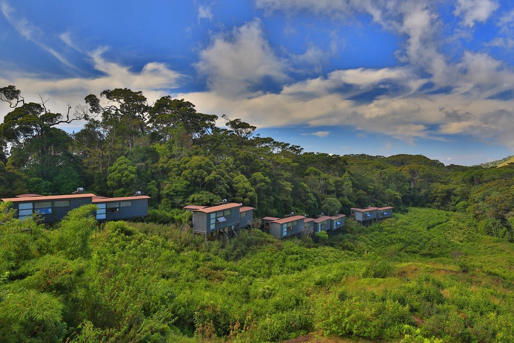The Rainforest Ecolodge - Sinharaja With Shuttle Service From Car Park Deniyaya Exterior foto