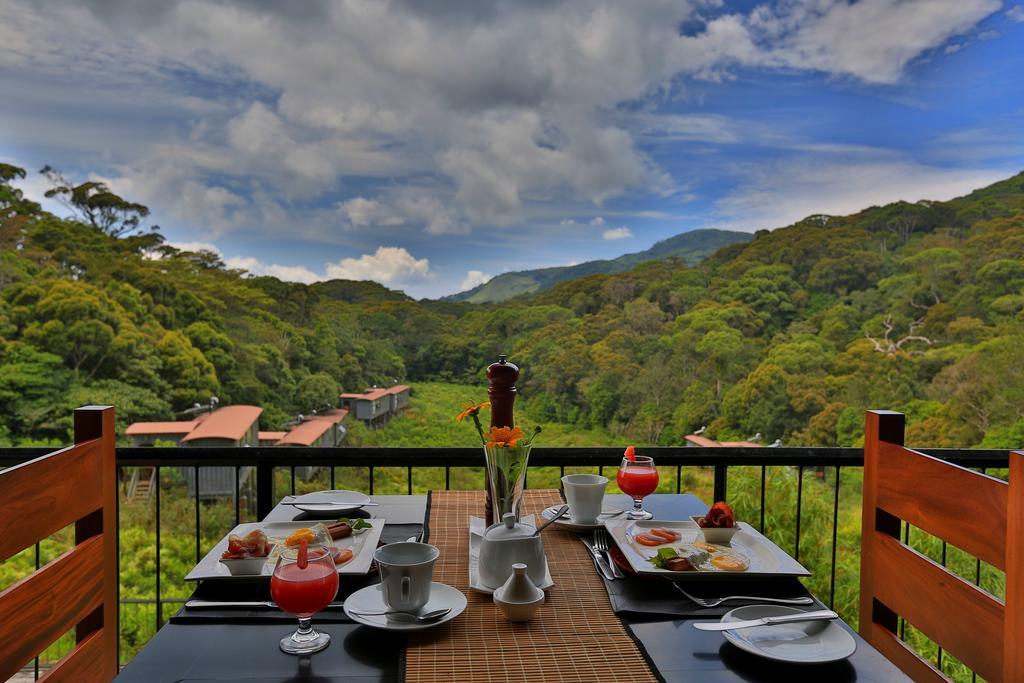 The Rainforest Ecolodge - Sinharaja With Shuttle Service From Car Park Deniyaya Exterior foto