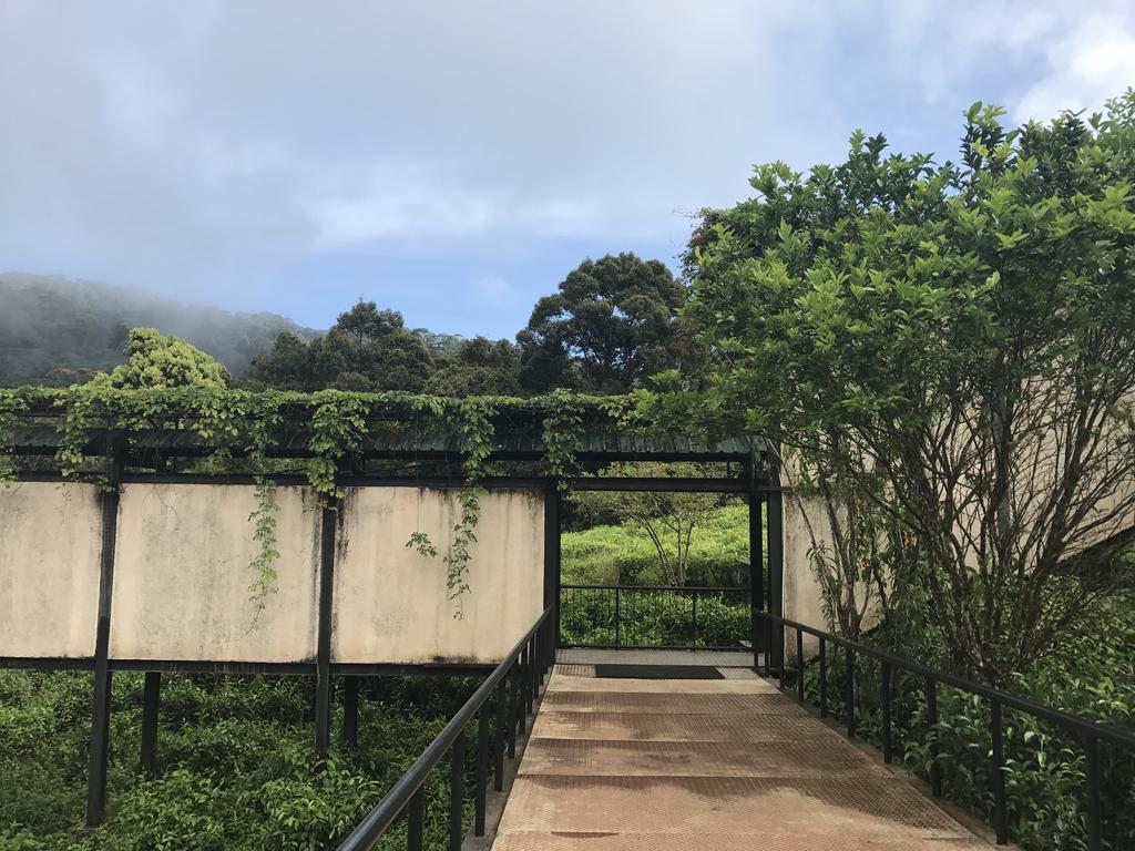 The Rainforest Ecolodge - Sinharaja With Shuttle Service From Car Park Deniyaya Exterior foto