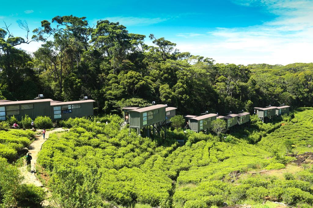 The Rainforest Ecolodge - Sinharaja With Shuttle Service From Car Park Deniyaya Exterior foto